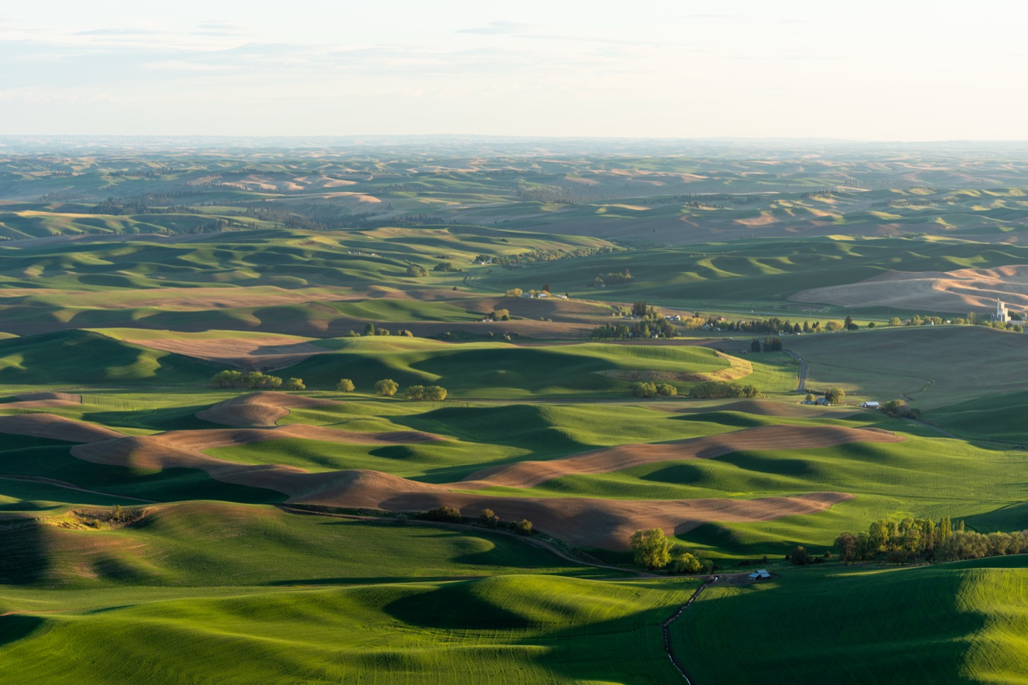Green rolling farmland of the Palouse seen from the top of Steptoe Butte in southeastern Washington